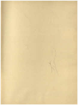 Visualizza l'immagine "FD Album 12, 19 r."